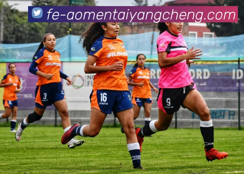 澳门太阳城网站APP 封面图